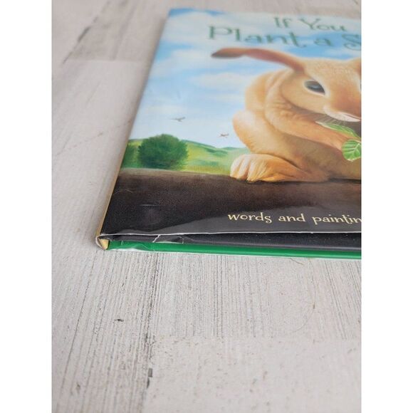If you plant a seed book Kadir Nelson Easter bunny hardcover - Picture 5 of 9